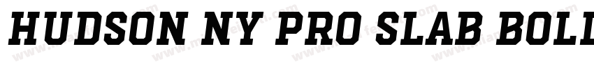Hudson NY Pro Slab Bold字体转换